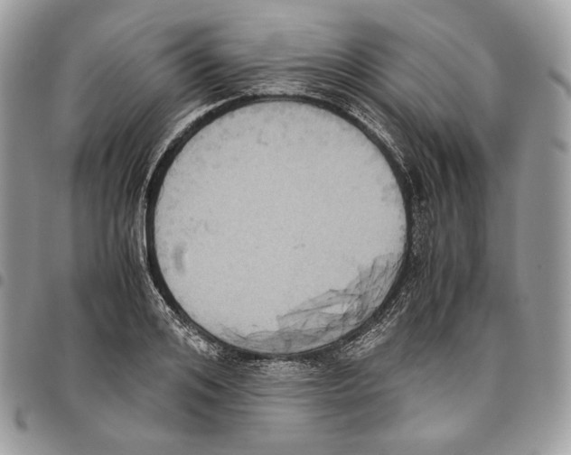 X0000095890984200802081114