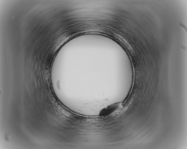 X0000095890985200802081114