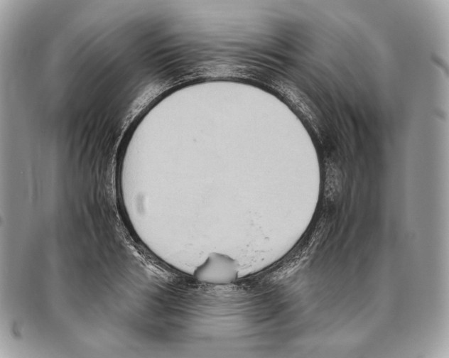 X0000095890986200802081113