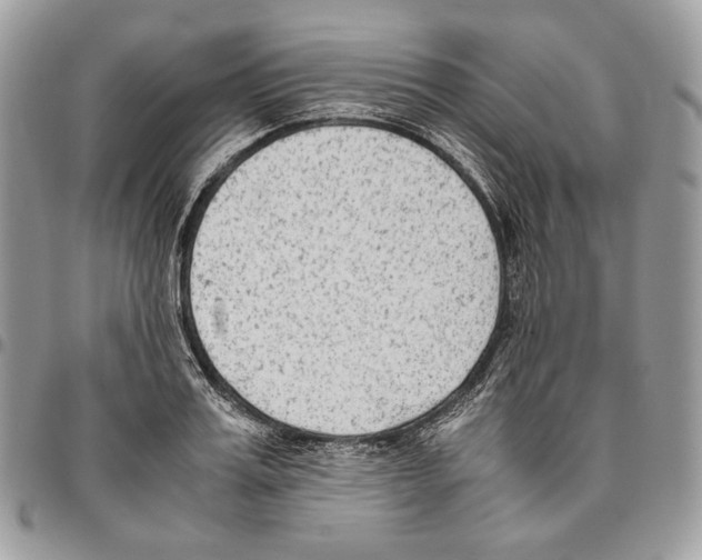 X0000095890987200802081113