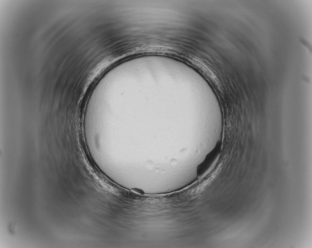 X0000095890989200802081113