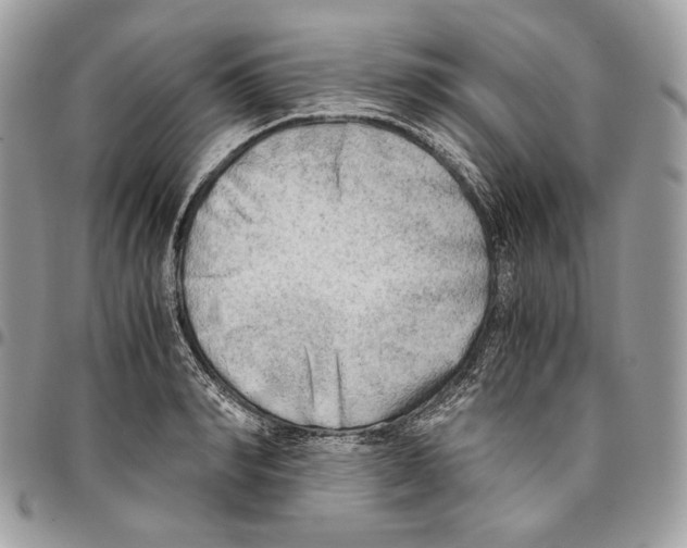 X0000095890990200802081113