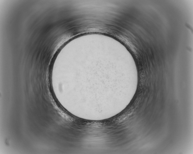 X0000095890991200802081113