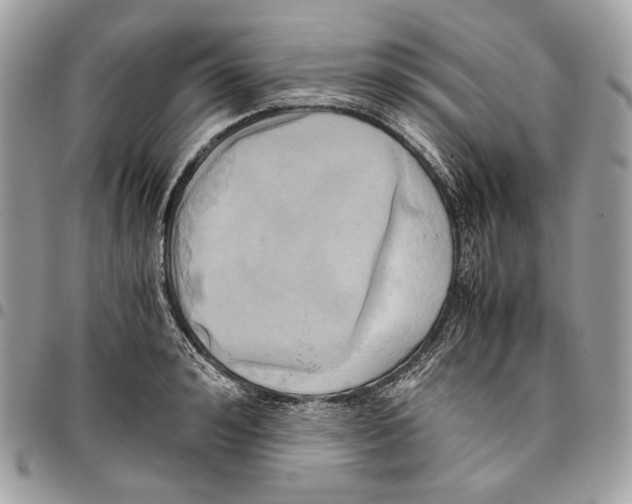 X0000095890992200802081113