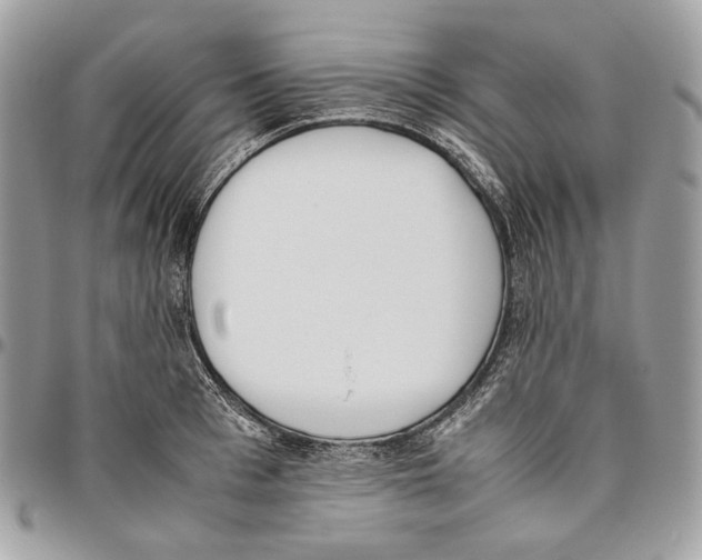 X0000095890993200802081113