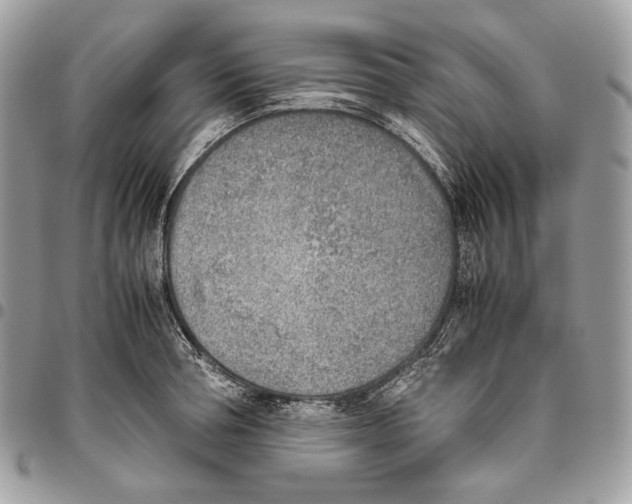 X0000095890994200802081113