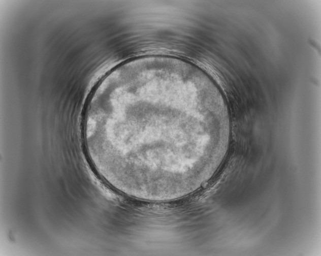 X0000095890995200802081113
