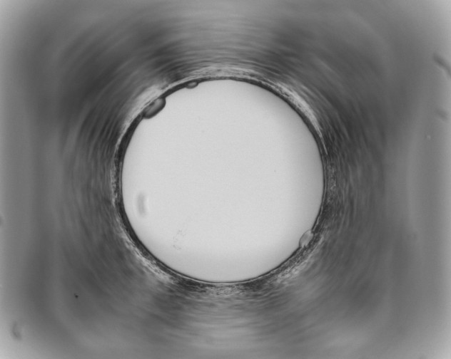 X0000095890997200802081113