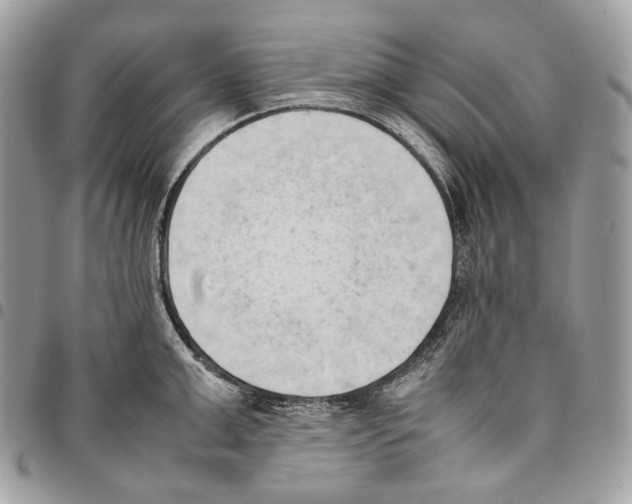 X0000095890999200802081113