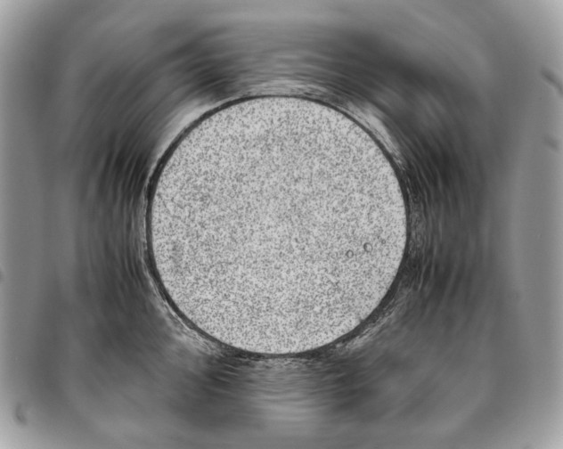 X0000095891000200802081113