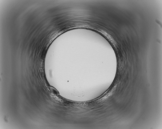X0000095891001200802081113