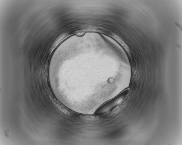 X0000095891002200802081113