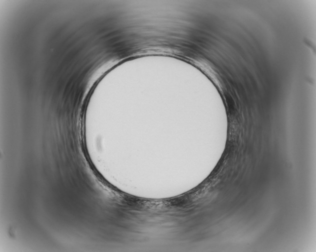 X0000095891003200802081113