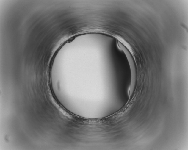 X0000095891005200802081113