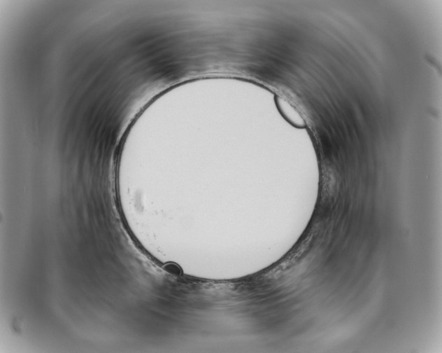 X0000095891006200802081113
