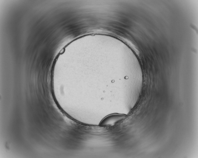 X0000095891007200802081113