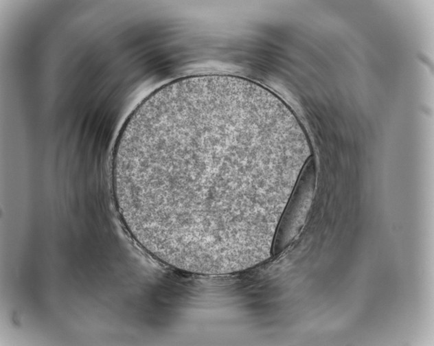 X0000095891008200802081113