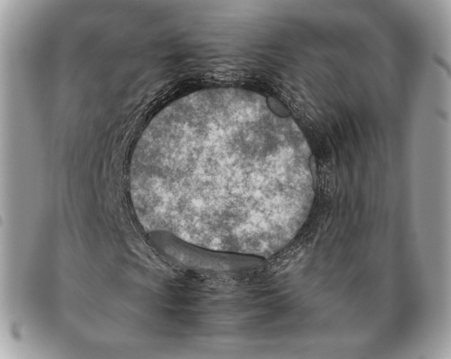 X0000095891009200802081112