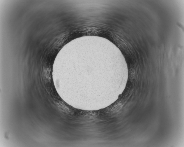 X0000095891010200802081112