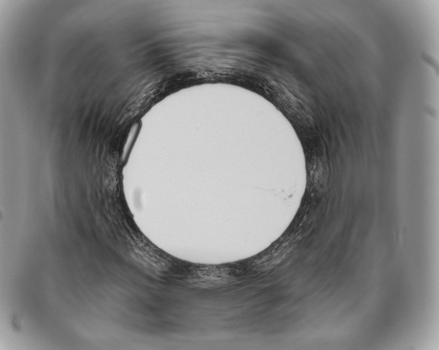 X0000095891012200802081112