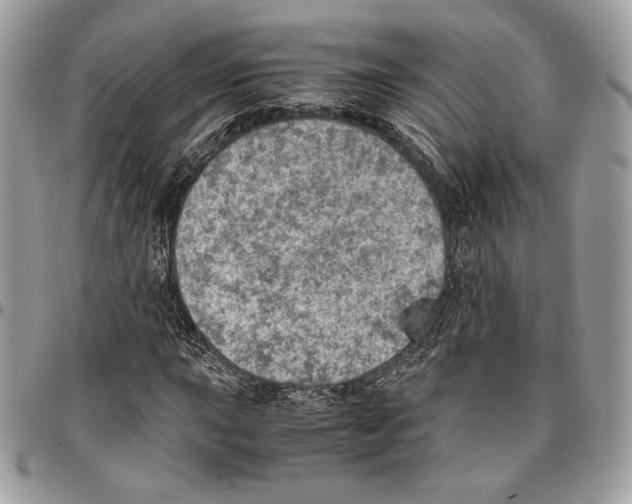 X0000095891015200802081112