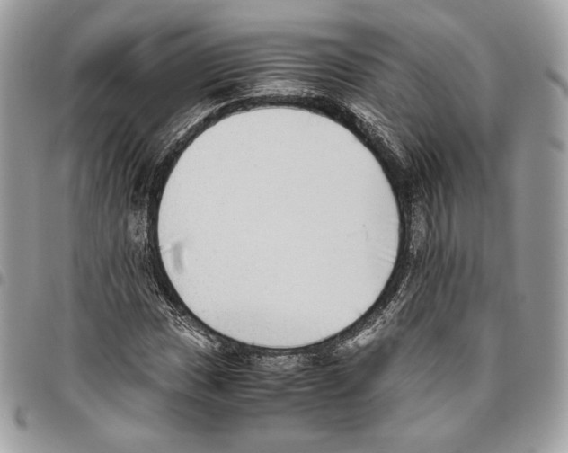 X0000095891017200802081112