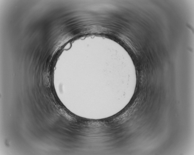 X0000095891018200802081113