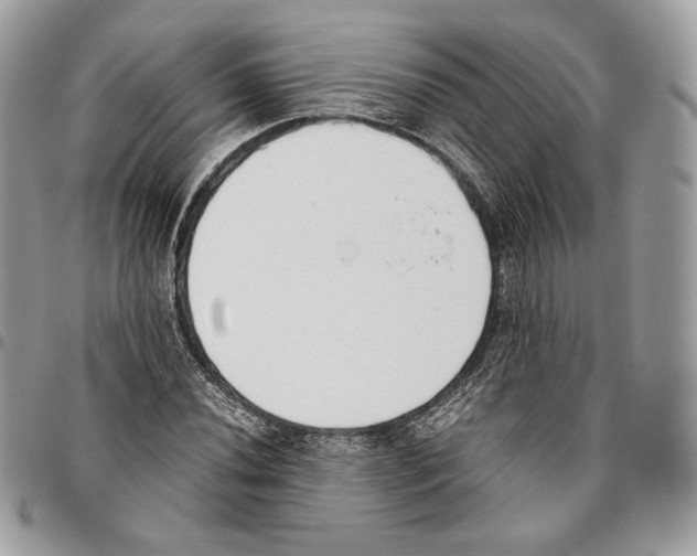 X0000095891020200802081113
