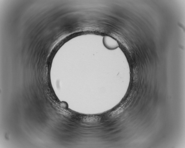 X0000095891021200802081113
