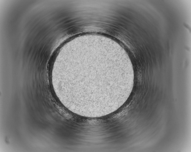 X0000095891022200802081113