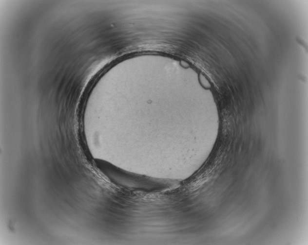 X0000095891024200802081113