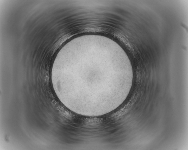 X0000095891025200802081113