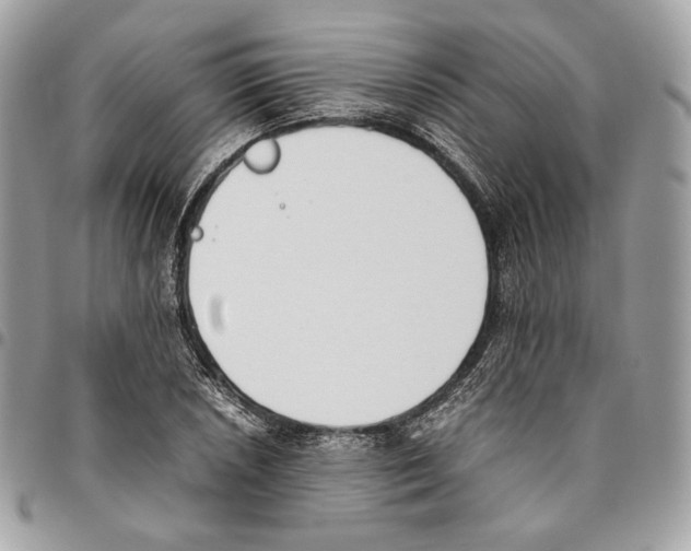 X0000095891026200802081113