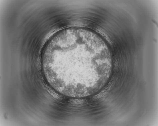 X0000095891027200802081113