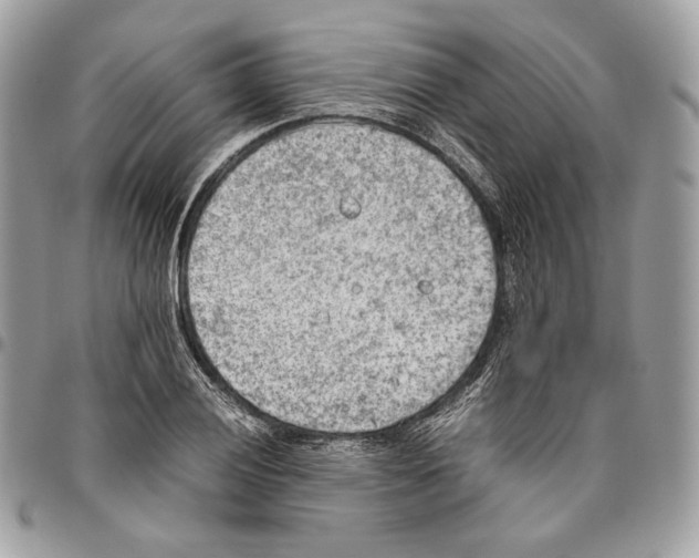 X0000095891028200802081113