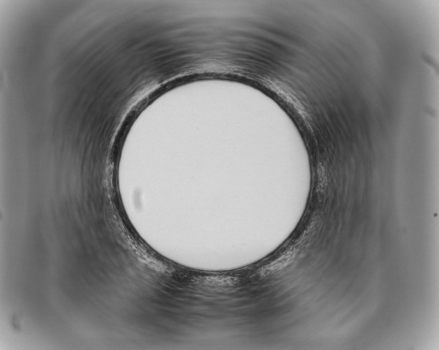 X0000095891029200802081113