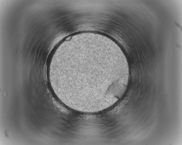 X0000095891030200802081113