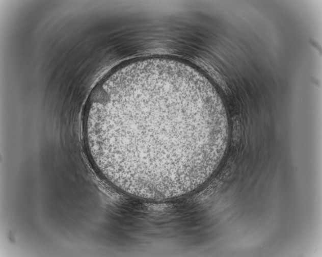 X0000095891031200802081113