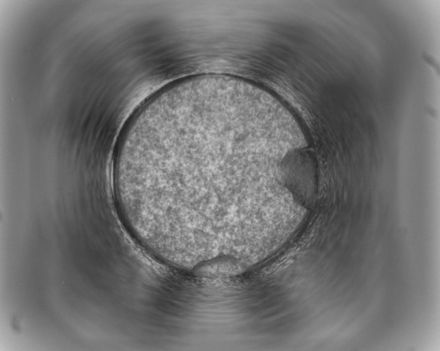 X0000095891032200802081113