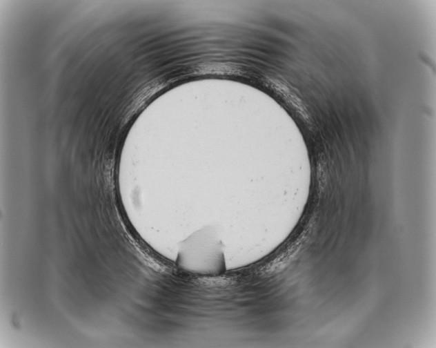 X0000095891033200802081113