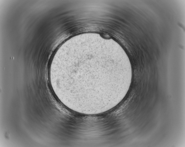 X0000095891034200802081113
