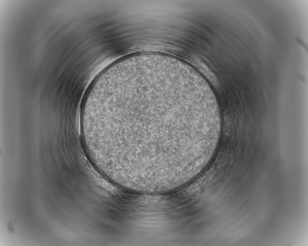X0000095891036200802081113