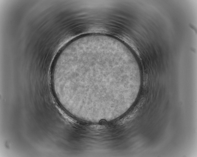 X0000095891037200802081113