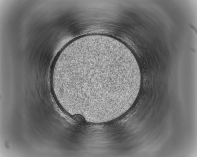 X0000095891038200802081113