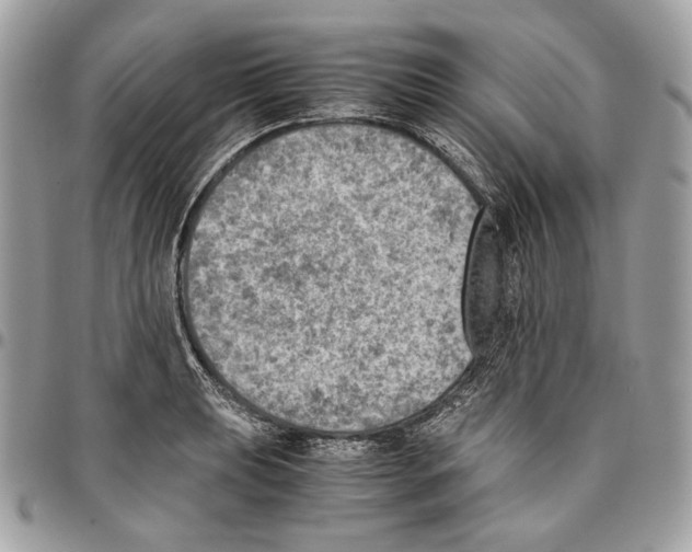 X0000095891039200802081113