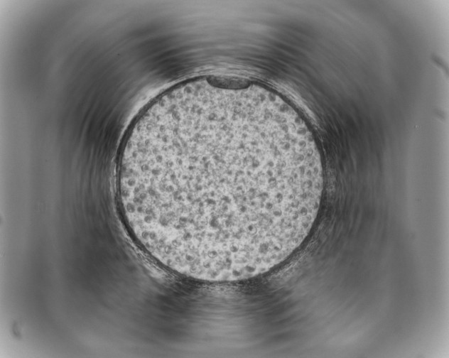 X0000095891040200802081113