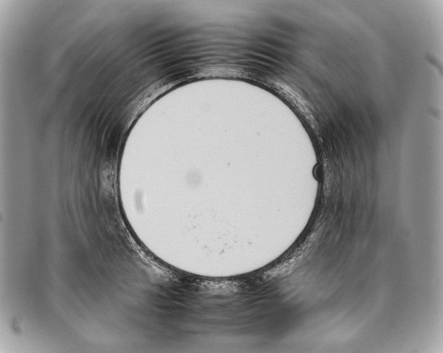 X0000095891041200802081113