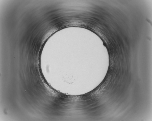 X0000095891042200802081113