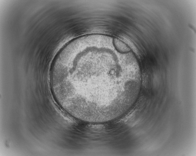 X0000095891043200802081113