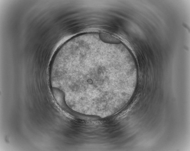 X0000095891045200802081113